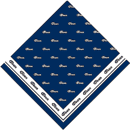 Iowa Eye Association Silk Screened Scarf