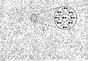 The test background is composed of 10,000 randomly positioned white dots with 3.26% of pixels illuminated.