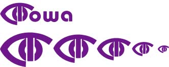 Iowa Eye Logo