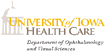 University of Iowa Health Care