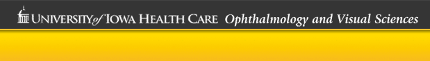 University of Iowa Health Care, Department of Ophthalmology and Visual Sciences