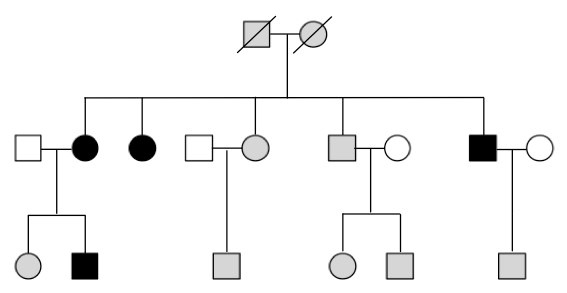 Ch 11. A Patient's Guide to Glaucoma