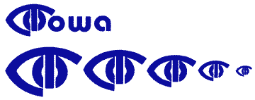 Iowa Eye Association
